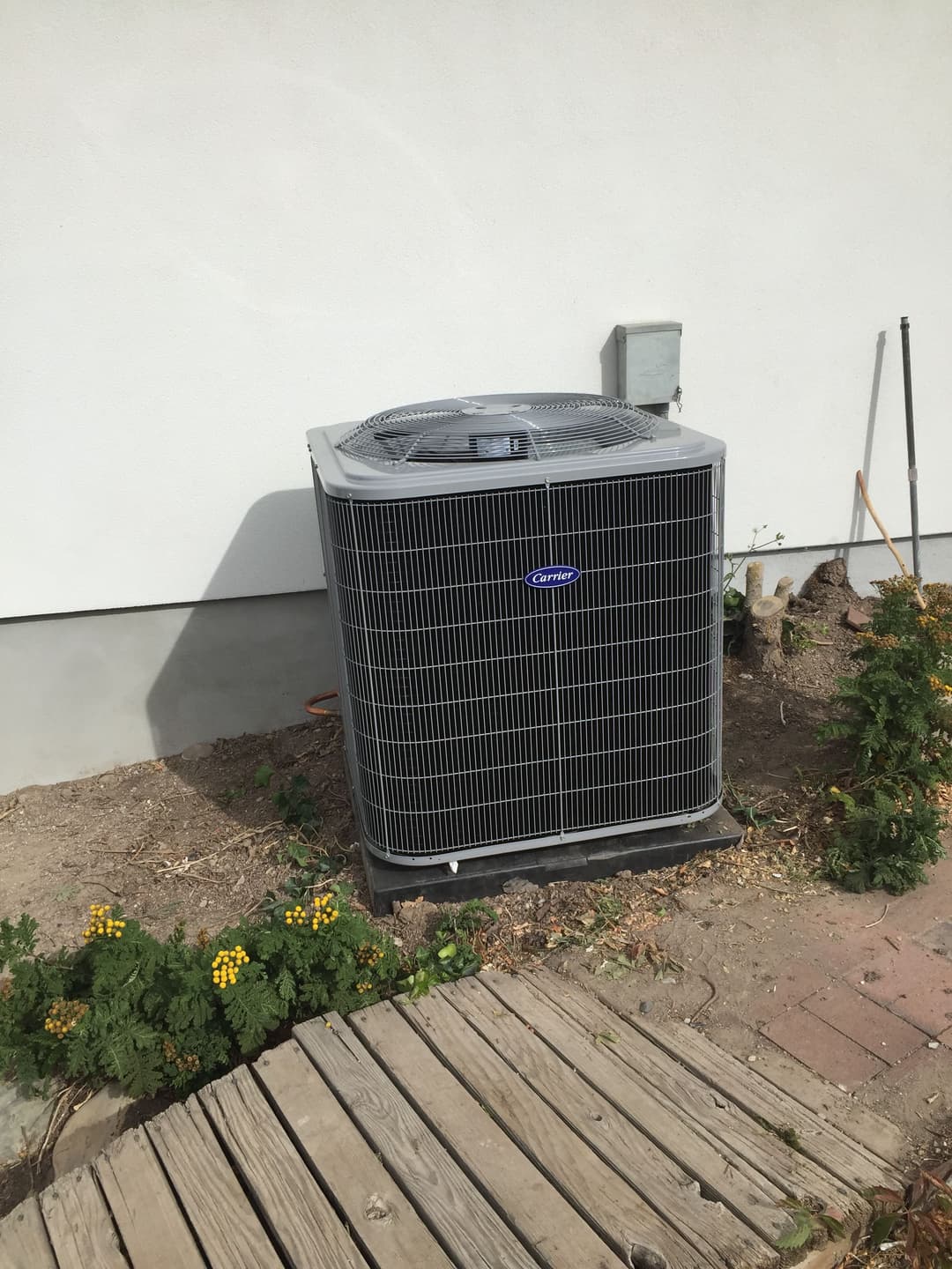 Carrier air conditioning unit installed outside on a gravel surface with surrounding plants.